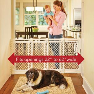 22 inch baby gate