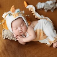 Choosing the Right Baby Gate Material: Metal, Wood, or Plastic?