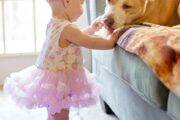 Creating a Safe and Loving Home for Babies and Pets Creating a Safe and Loving Home for Babies and Pets