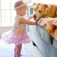 Creating a Safe and Loving Home for Babies and Pets
