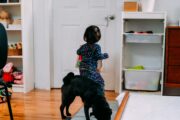 Baby Gates for Homes with Toddlers and Pets: What to Look For Baby Gates for Homes with Toddlers and Pets: What to Look For