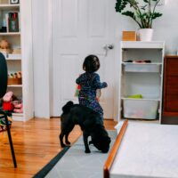 Baby Gates for Homes with Toddlers and Pets: What to Look For